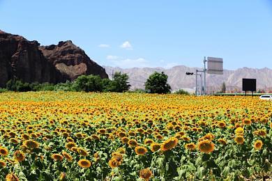《太吾绘卷》新版本9月21日23点更新 玩家问题解答