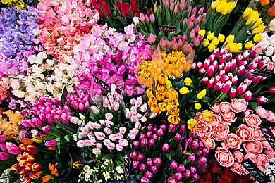 《七大罪：起源》 开通宣传网站和社交媒体账号