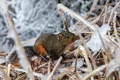 《星空》设计总监：我们制作游戏有多难 玩家别老抱怨
