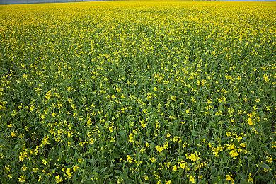 《漫威争锋》会有跨平台进度同步 但短期内不会推出